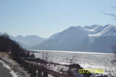 Alaska-Spring 334.jpg (492592 bytes)